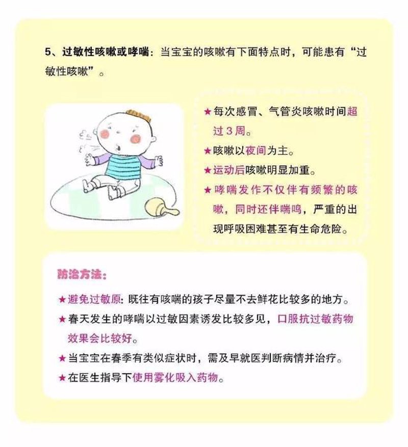 状元宝宝：从启蒙教育到成长之路